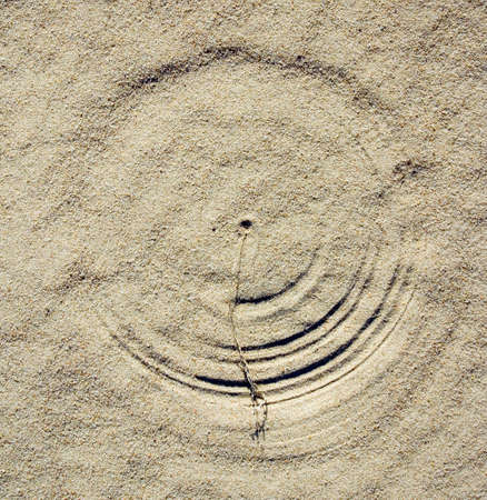 natural picture. grass, forsed by wing is painting on the sand,の写真素材
