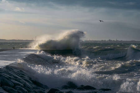 baltic seaの写真素材