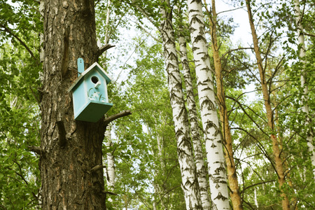 Birdhouse