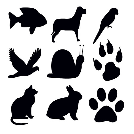 Silhouettes animal on white backgroundの写真素材