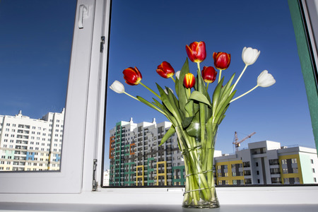 Bouquet of tulips on the window of a new apartmentの写真素材