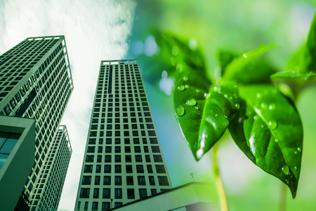 The construction of new tall buildings on a background of green plants. The concept of environmental clean construction.の写真素材