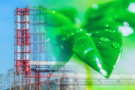 Green plant on the background of the industrial landscape. Concept of nature and environment protection.の写真素材