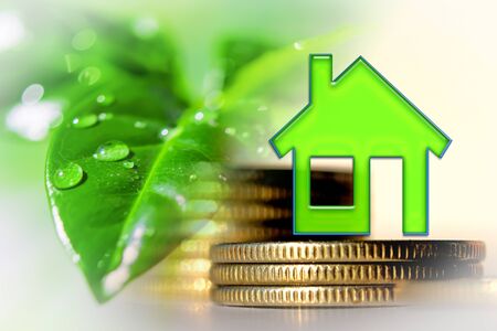 Real estate symbol on the background of money and a green plant. Concept of ecological construction.の写真素材