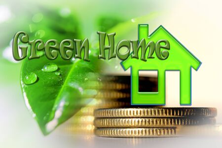 Real estate symbol on the background of money and a green plant. Concept of ecological construction.の写真素材