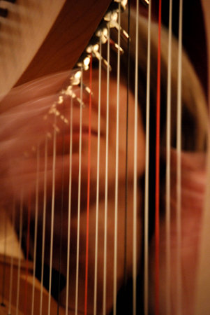 woman playing harpの写真素材