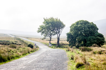 The panoramic view in Irelandの写真素材