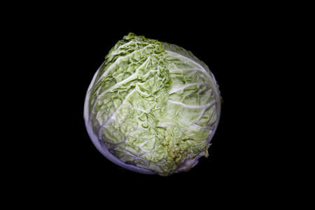 Savoy cabbage and black backgroundの写真素材