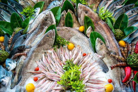 Fresh fish mixedの写真素材