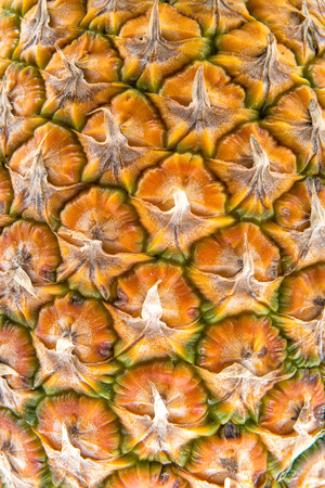 pineappleの写真素材