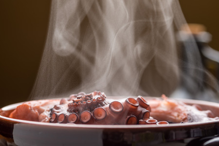 Tasty stewed octopus with hot smokeの写真素材