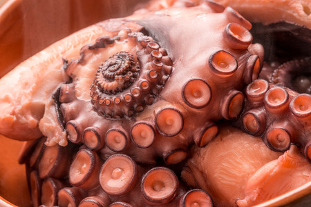 Tasty stewed octopus with hot smokeの写真素材