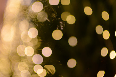 Christmas background with bokeh defocused lights and pine tree branches