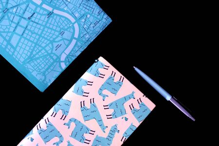 Top view of the city of Rome. Alpaca pattern on book cover.の写真素材
