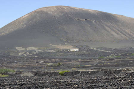View of La Geria vineyard on black volcanic ground .Scenic landscape Lanzarote. Canary Islands. Spainの写真素材