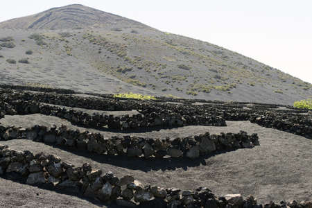 View of La Geria vineyard on black volcanic ground .Scenic landscape Lanzarote. Canary Islands. Spainの写真素材