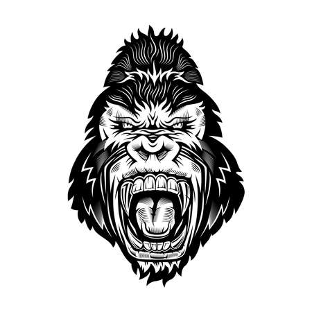 Ferocious gorilla head. Vector illustration on white background.のイラスト素材