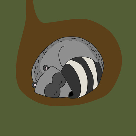 illustration sleeping raccoon in a holeのイラスト素材