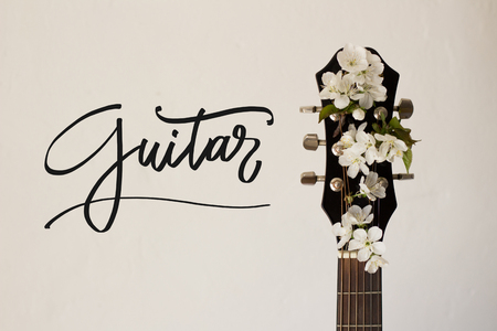 Part of a guitar on a white background with several cherry blossoms. Concept of music, hobby,...