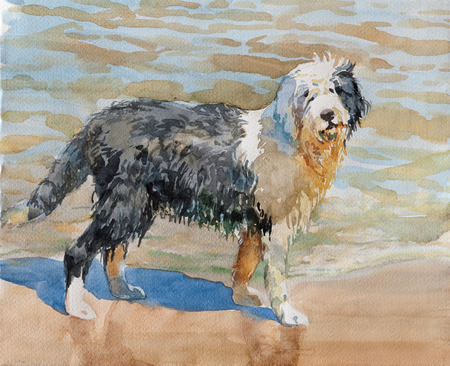 Watercolor image of black white dog playing sand on the beach. Watercolor concept. Animal concept. Pets conceptの写真素材