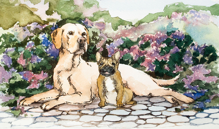 A detailed hand drawing on paper. Light shades and bright colors. Blooming flowers background. Watercolor concept. Animal conceptの写真素材