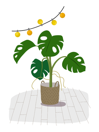 A potted monstera plant isolated on white. A green home decorative flower in pot, hand drawn flat cartoon illustration. Icon isolated on white background vector.のイラスト素材