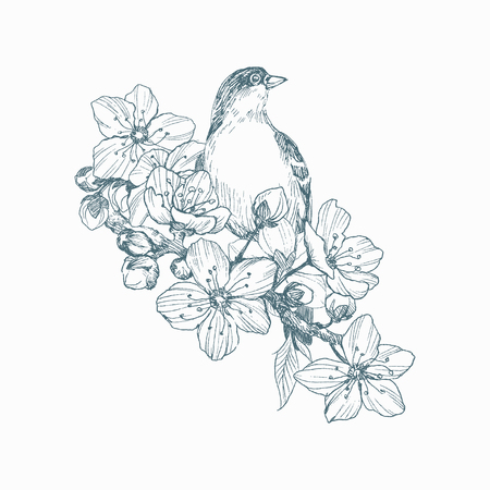 Vector illustration of hand drawn bird on blooming brunch. Graphic style, beautiful illustration. Engraving retro style.のイラスト素材