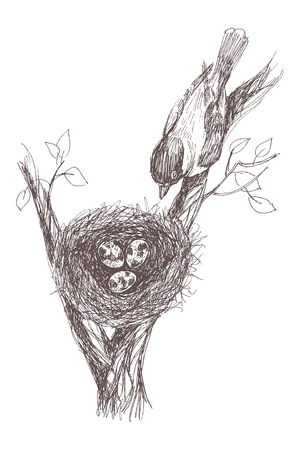 Vector illustration of hand drawn nest with spotted eggs and bird. Graphic retro style, beautiful illustration.のイラスト素材