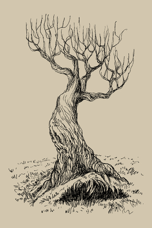 Fairy tree in vintage engraving styleのイラスト素材