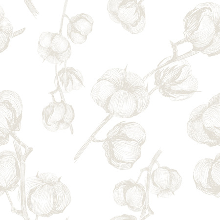 Vintage vector bouquet of cotton flowers. Botanical illustrations. Seamless pattern.のイラスト素材