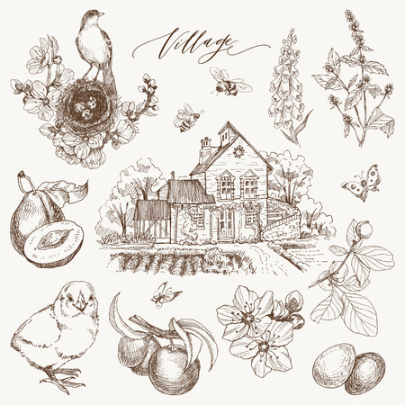 Vintage style of village details and objects. Detailed illustration engraving style. For cards, typographyのイラスト素材