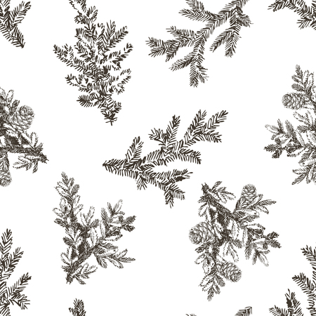 Vector seamless pattern with pine branches. Forest repeating texture. Floral background.のイラスト素材