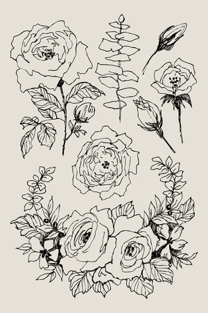 Wild roses blossom branch isolated. Vintage botanical hand drawn illustration. Spring flowers of garden rose, dog rose. Vector designのイラスト素材