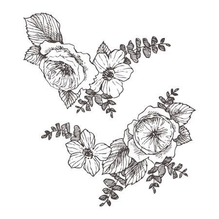 Wild roses blossom branch isolated. Vintage botanical hand drawn illustration. Spring flowers of garden rose, dog rose. Vector designのイラスト素材