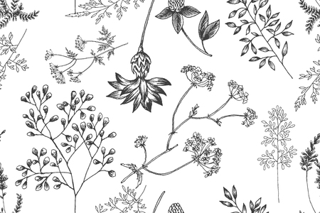 Blooming flower. Set collection. Hand drawn botanical blossom branches on white background. Engraved illustration.のイラスト素材