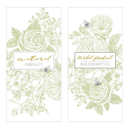 Vintage Floral Cards Set. Frame with Engraving Flowers. Botanical Illustration. Retro Graphic Style. Can use for eco natural product, herbal cosmetics and other designsのイラスト素材