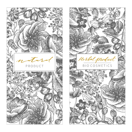 Vintage Floral Cards Set. Frame with Engraving Flowers. Botanical Illustration. Retro Graphic Style. Can use for eco natural product, herbal cosmetics and other designsのイラスト素材