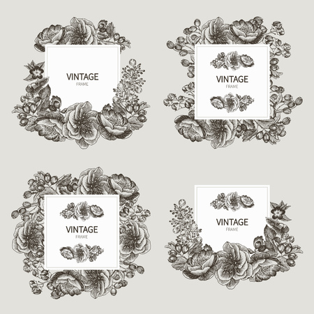 Beautiful card with a square frame with wreath of different plants of vintage garden and forest set. Black and white frame of the roses, peones and berries on a creme background. Vector illustrationの写真素材