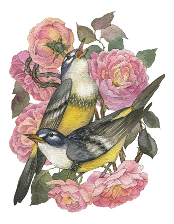 Vintage card with beautiful roses and two songbird. Can be used as invitation card for wedding, birth, other invents, as print on clothes. Watercolor realistic illustration with high detailsの写真素材