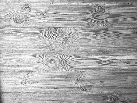 Grunge white and black background, texture.のイラスト素材