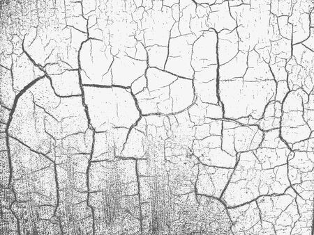 Grunge white and black background, texture.のイラスト素材