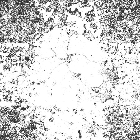 Grunge white and black background, texture.のイラスト素材