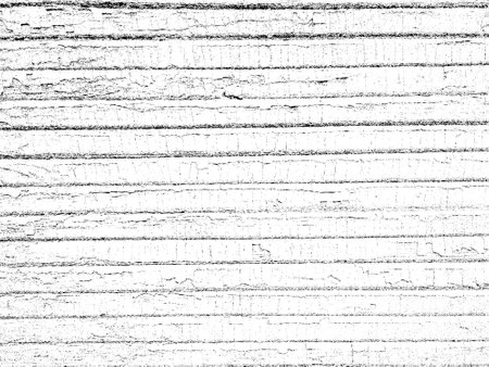 Grunge white and black background, texture.のイラスト素材