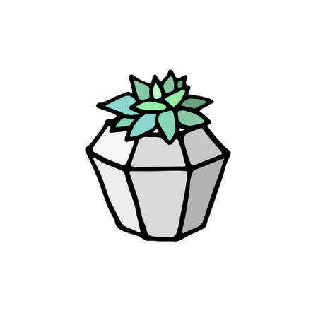Succulent doodle print. Home plants in modern flowerpotのイラスト素材