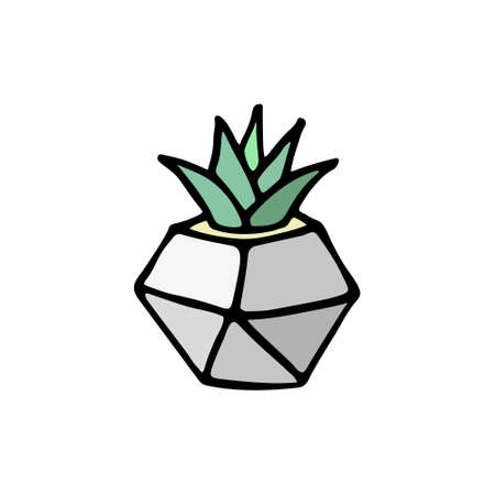 Succulent doodle print. Home plants in modern flowerpotのイラスト素材