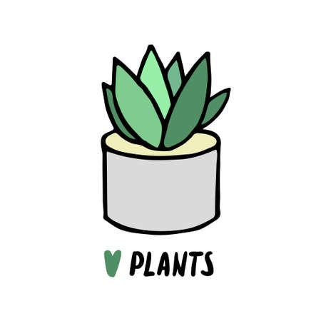 Succulent doodle print. Home plants in modern flowerpotのイラスト素材