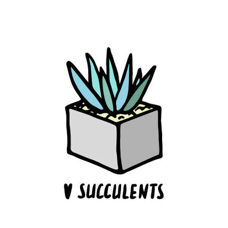 Succulent doodle print. Home plants in modern flowerpotのイラスト素材