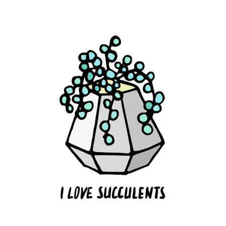 Succulent doodle print. Home plants in modern flowerpotのイラスト素材