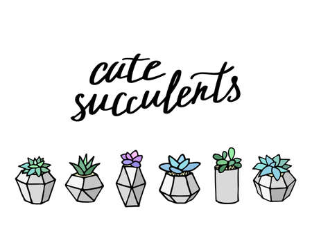 Set of succulents cactus houseplants in grey flower pots. Vector icons on white backgroundのイラスト素材