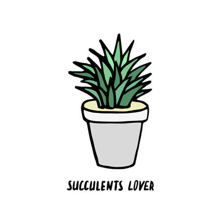 Succulent doodle print. Home plants in modern flowerpotのイラスト素材